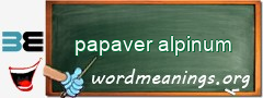 WordMeaning blackboard for papaver alpinum